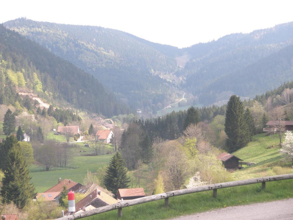 Chalet Biazot Xonrupt-Longemer Exterior photo